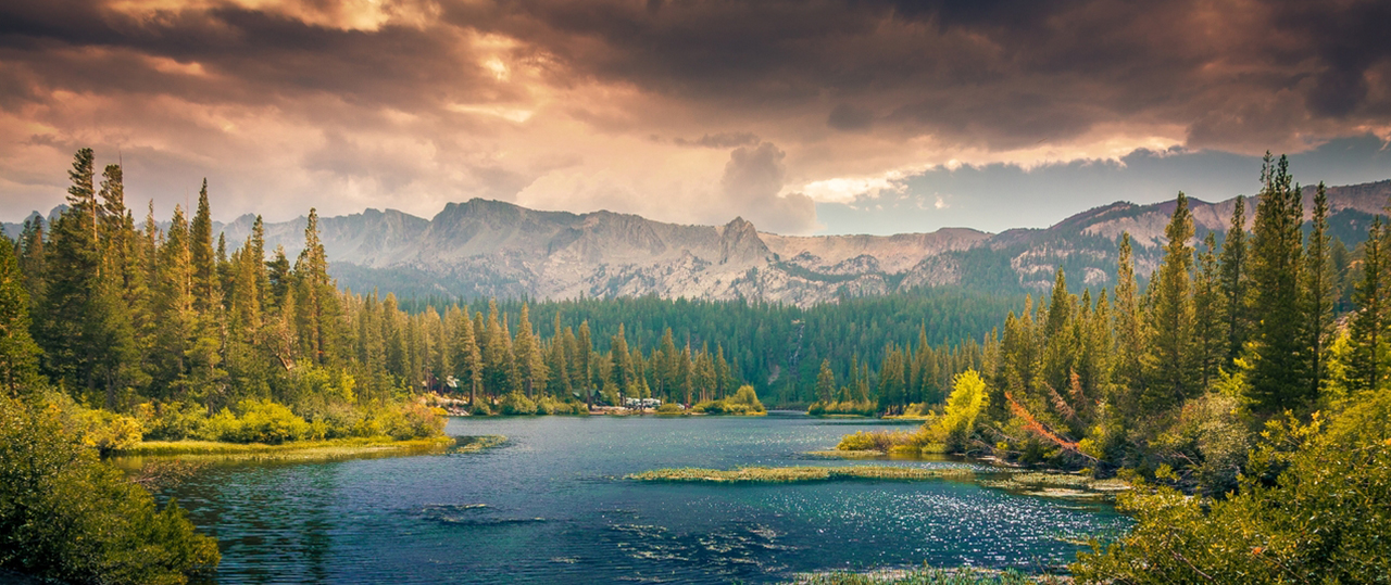 可以留电话的骚扰网站