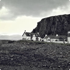 助您决胜市场的云呼炸仇人软件