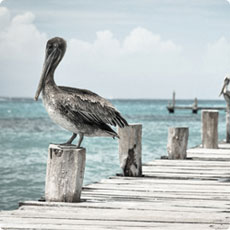 知识管理工具的手机号压力测试器