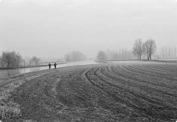 一键性能分析的短信验证码轰炸在线版