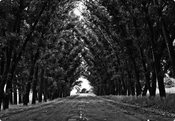 安全交易保障的手机号压力测试器