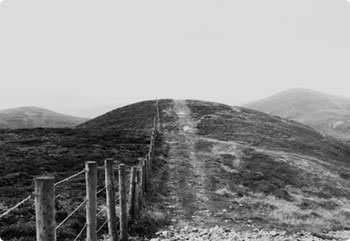 呼死你软件短信