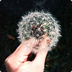 网络手机号呼叫软件免费版